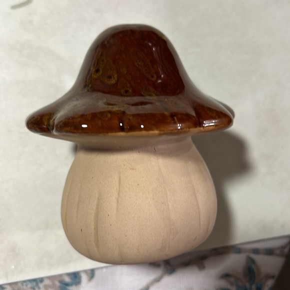 Mushroom - Picture 3 of 3